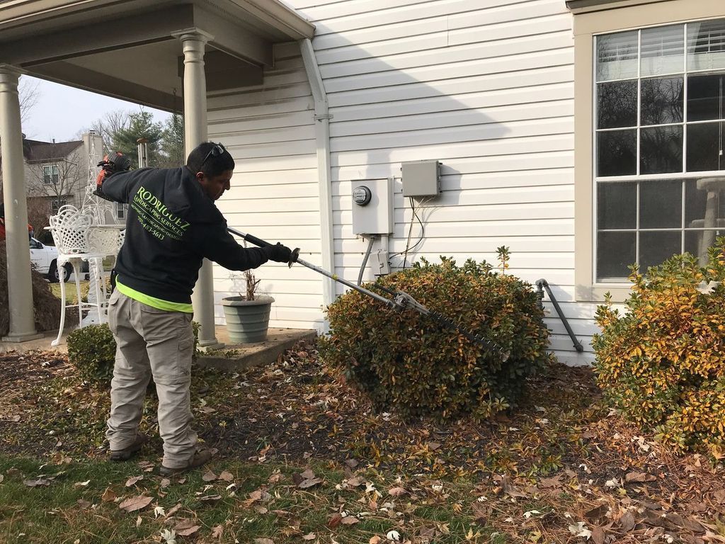 Person using a leaf blower to clear bushes beside a house in autumn.