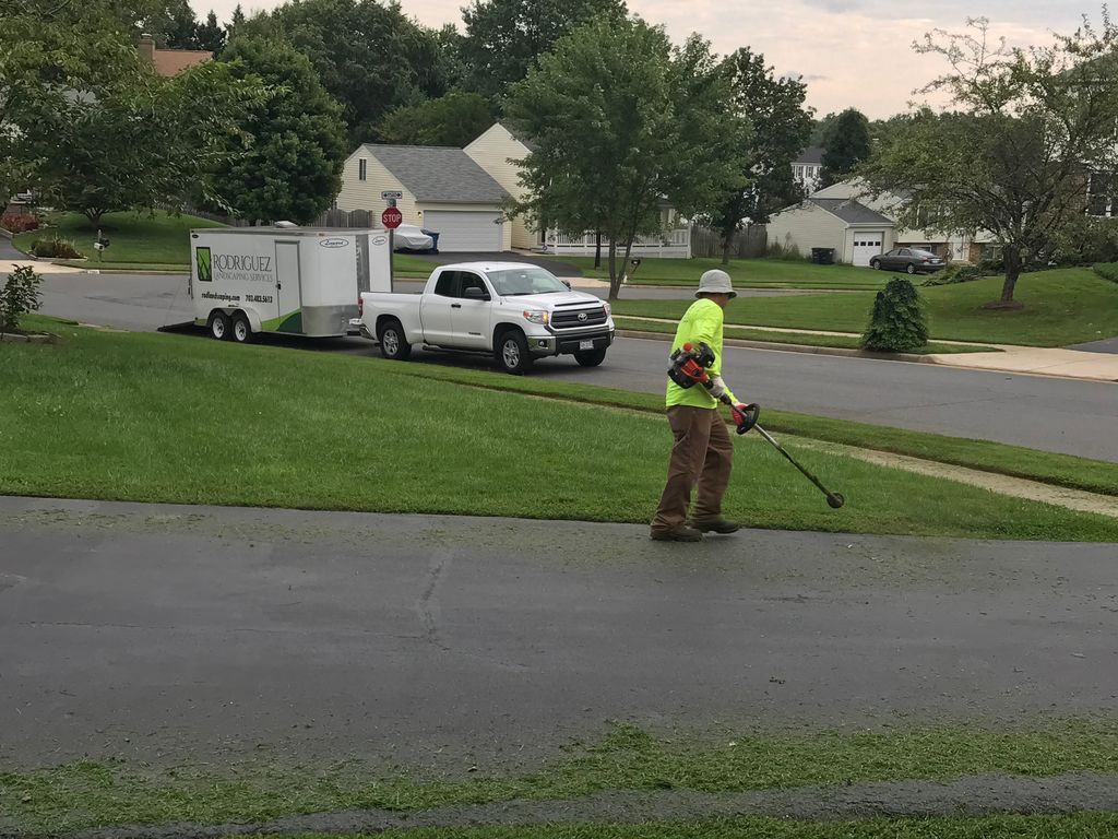 Worker trimming grass by a suburban street beside a white utility truck.