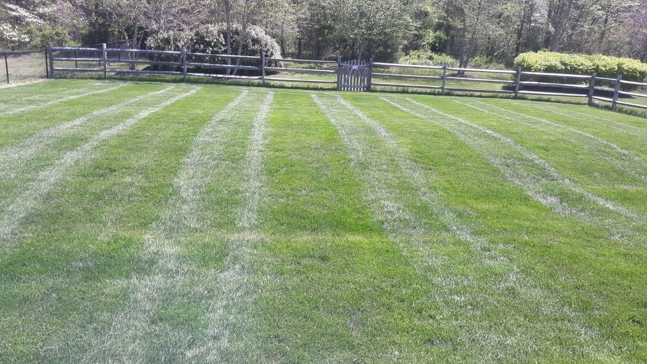 Sunny grassy field with striped mowing lines, bordered by trees and a wooden fence.