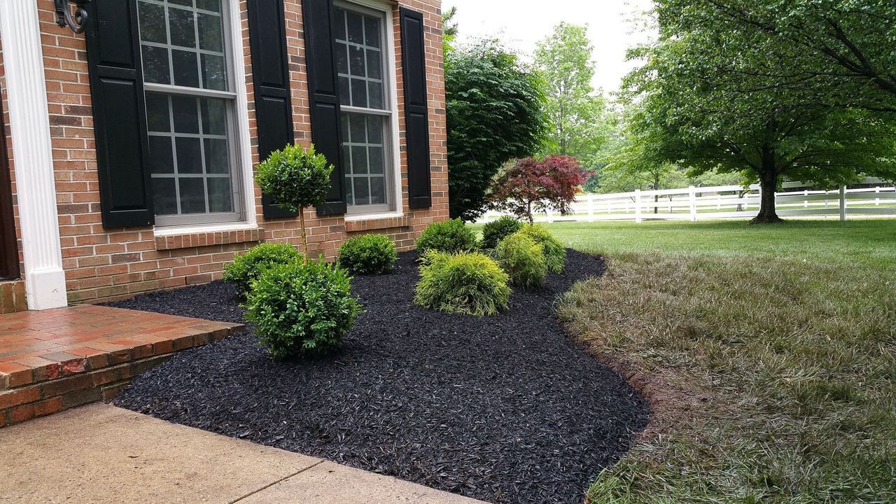 Front yard landscaping with shrubs in black mulch beside a brick house, next to a grassy lawn.