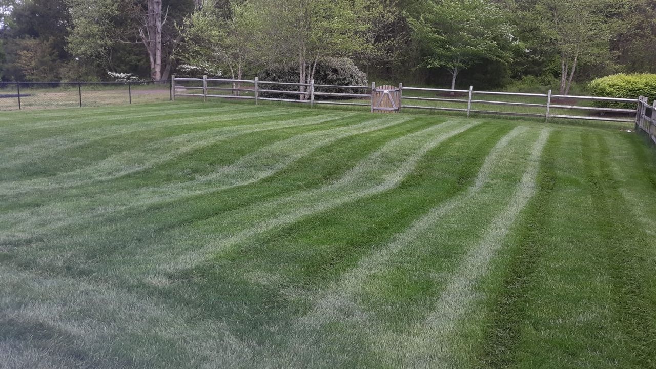 Striped green lawn in a park with trees and a white fence in the background