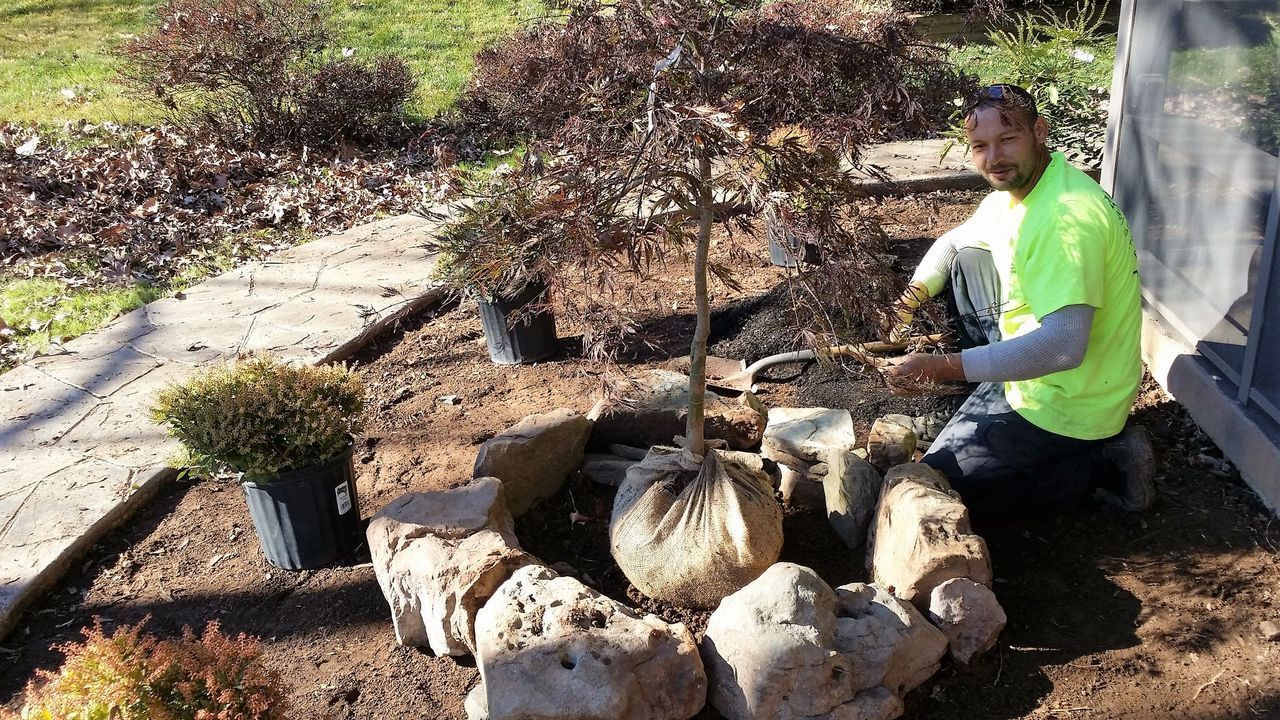 Gardener kneels beside a stone-edged garden bed, trimming or arranging plants in bright sunlight.