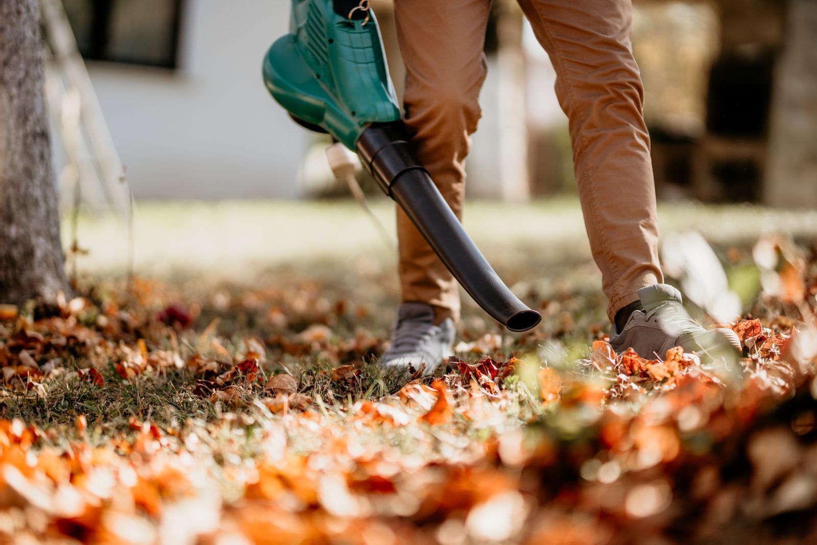 Person using a green leaf blower to clear autumn leaves in a yard