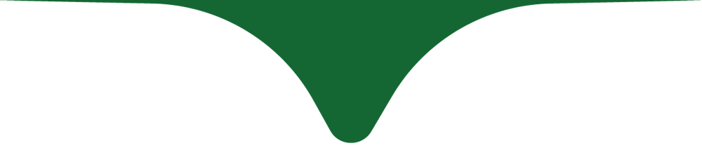 Divider icon Green V-shaped notch centered on a white background with a thin green top border