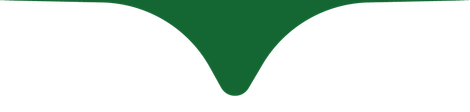 Green V-shaped notch centered on a white background with a thin green top border