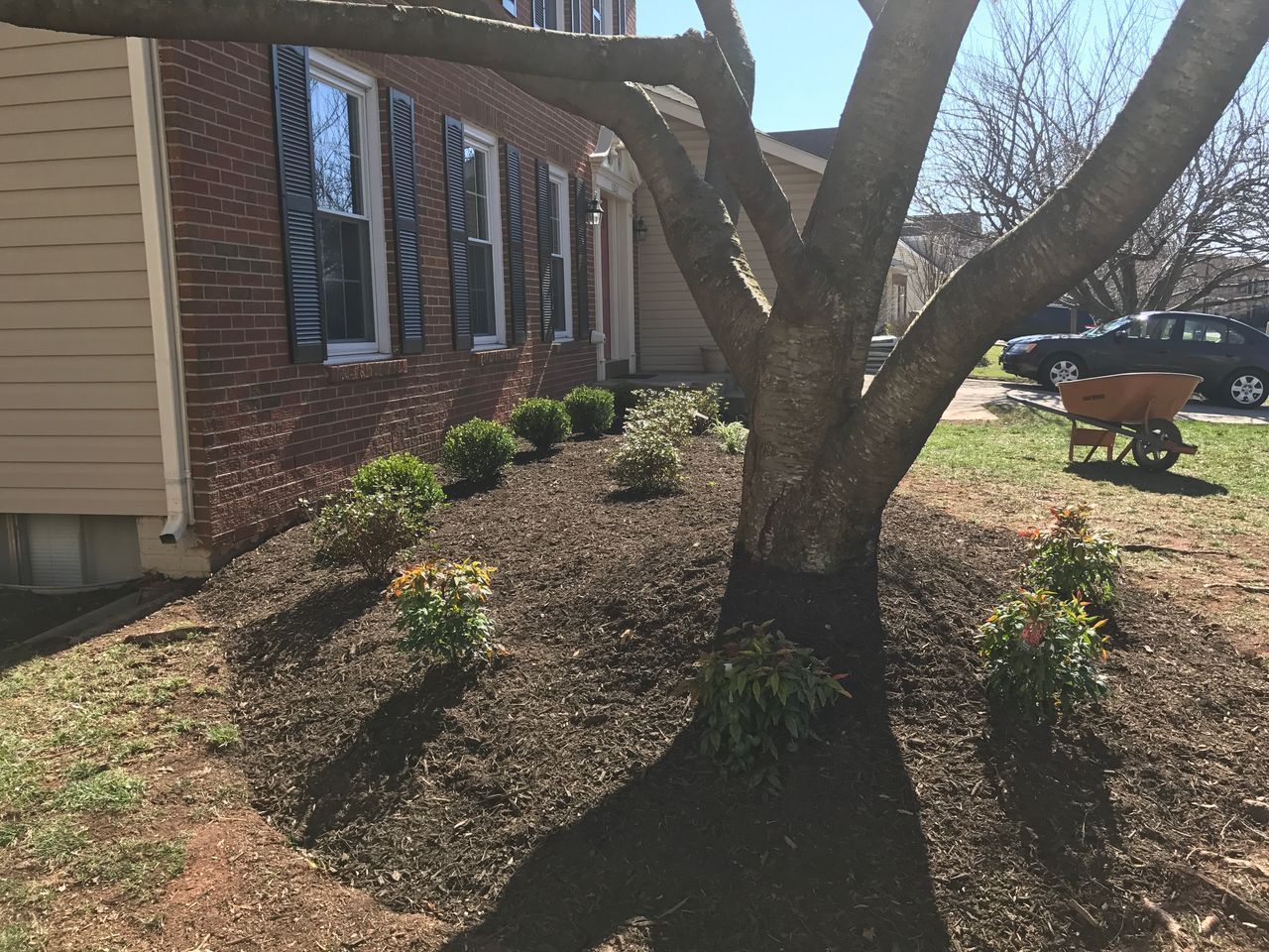 Brick house with mulched front yard, shrubs, and a large tree casting shadows