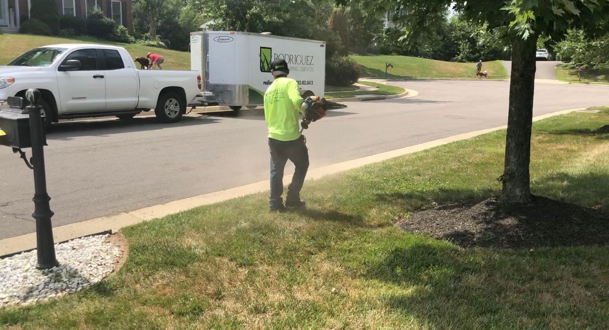 Worker in a neon shirt walking on a grassy roadside near a white truck and a tree-lined street.