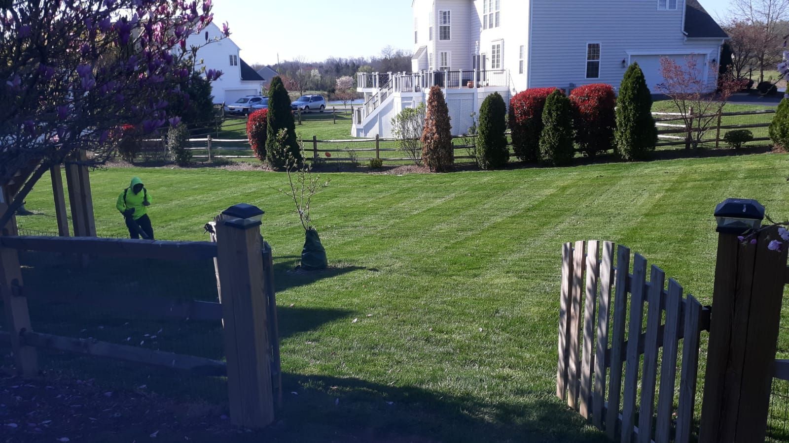 Backyard lawn with open gate, shrubs, and a white house in the background