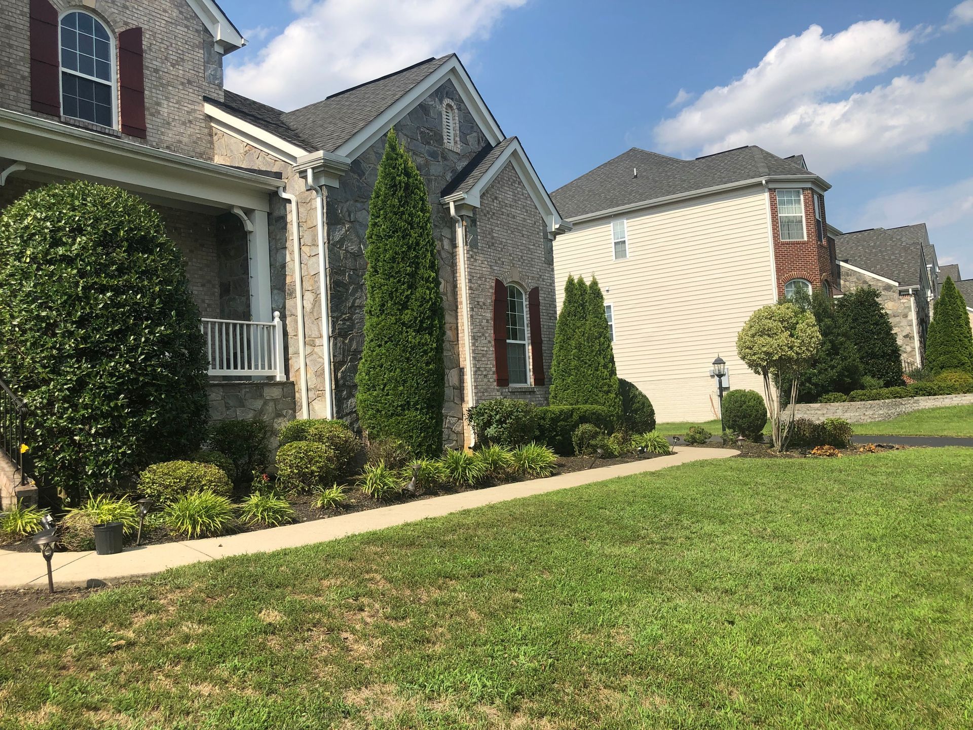 Suburban houses with manicured lawns and shrubs under a bright blue sky