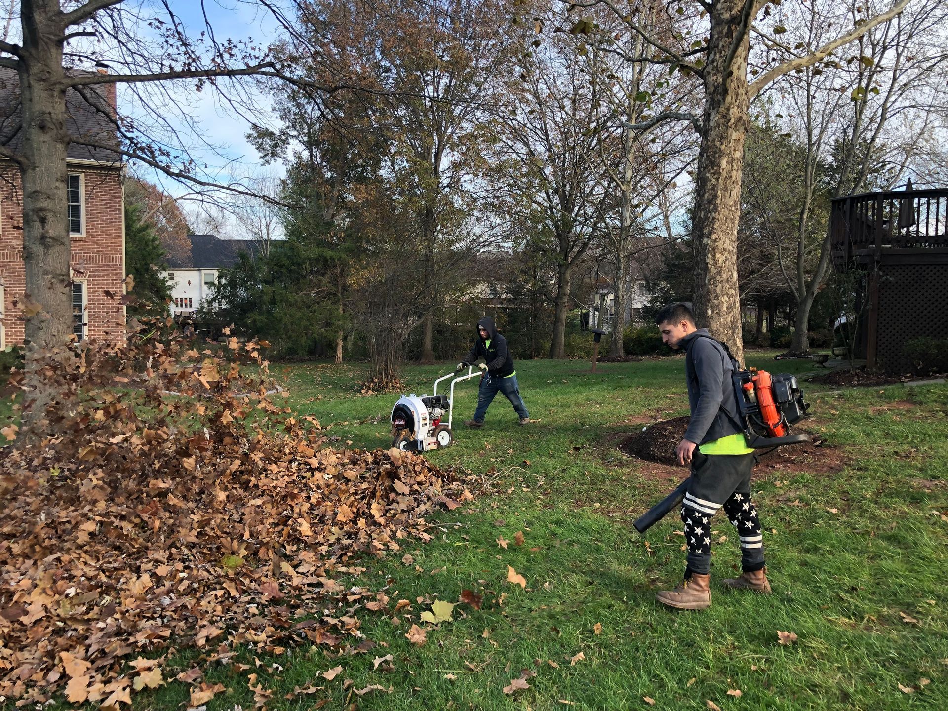 Two workers leaf blowing and leaf clean up