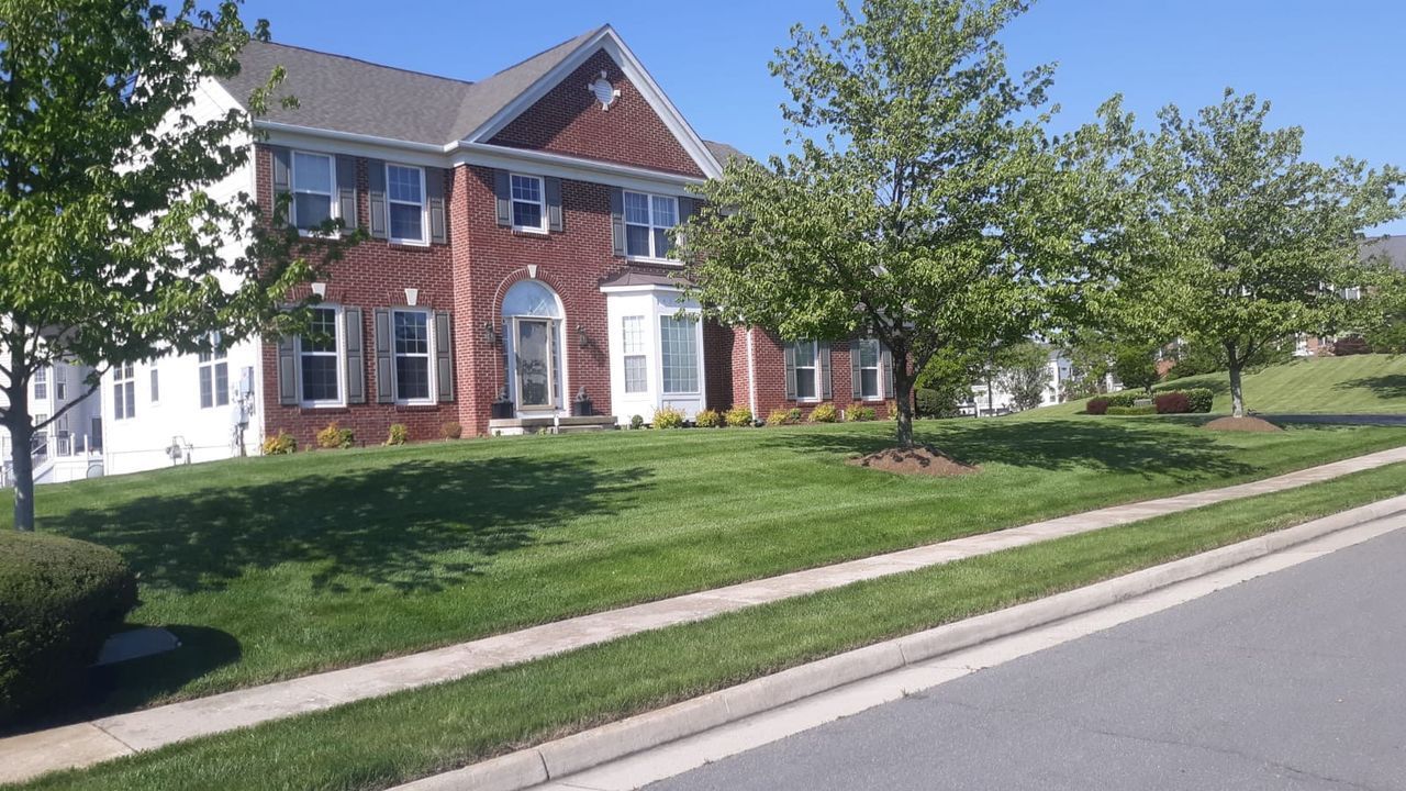 Brick apartment building with white trim, green lawn, and trees along a quiet street.