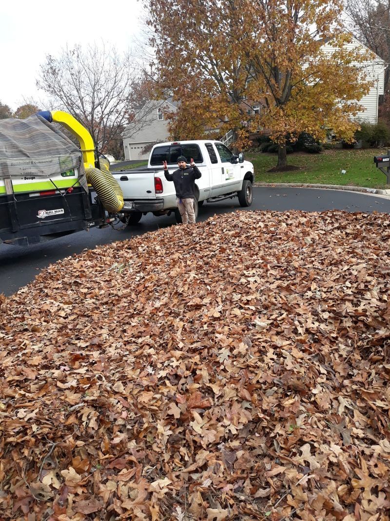 Worker loading leaves into a truck on a suburban street in autumn