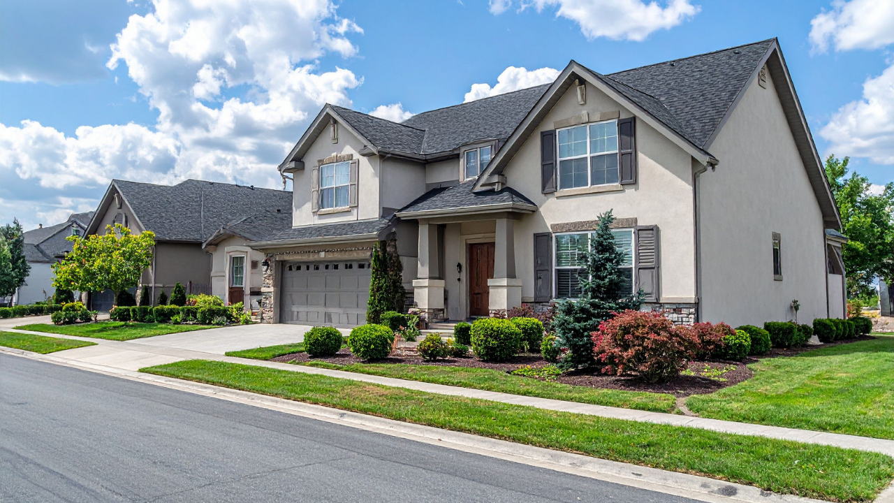 Real Estate Investor & Wholesale