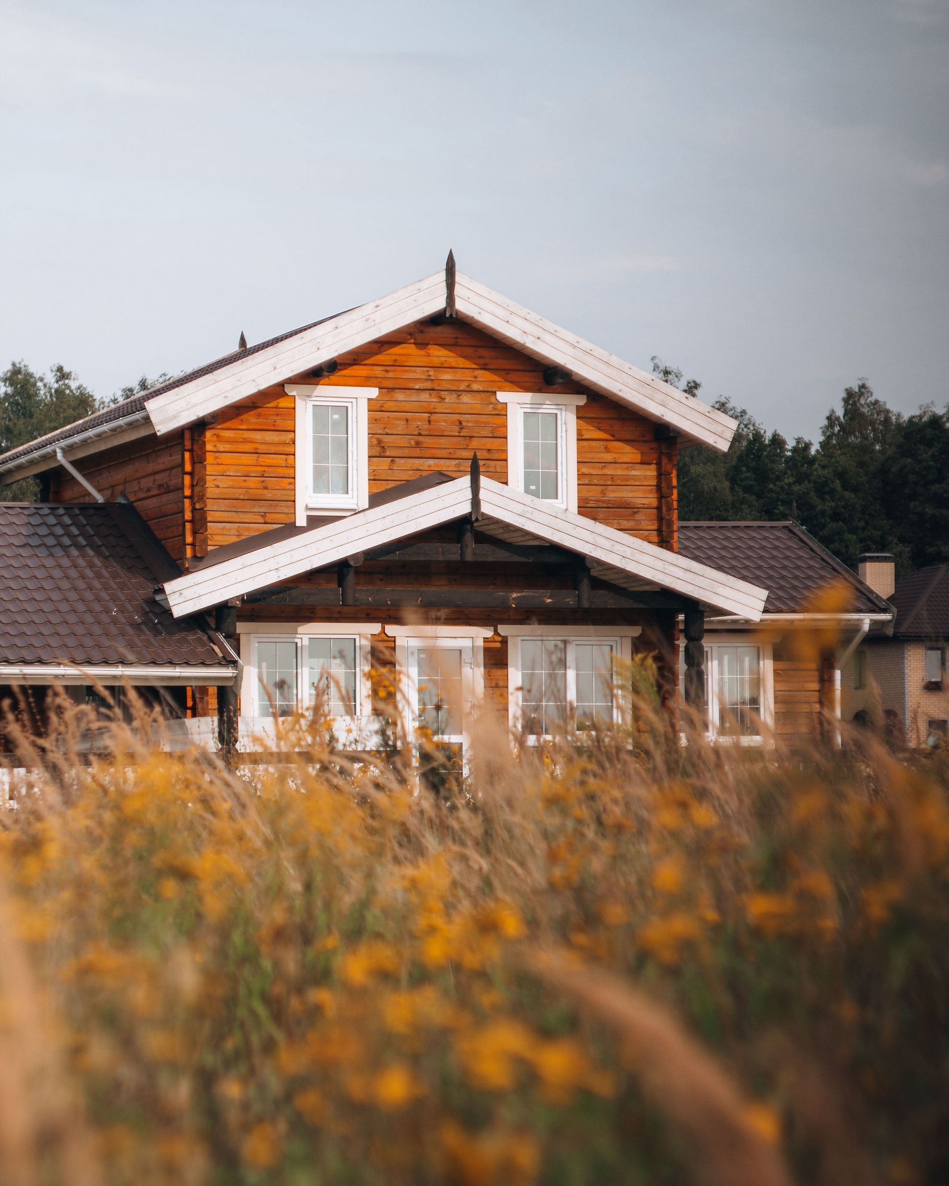 Wooden house with a white roof behind tall autumn grass at dusk