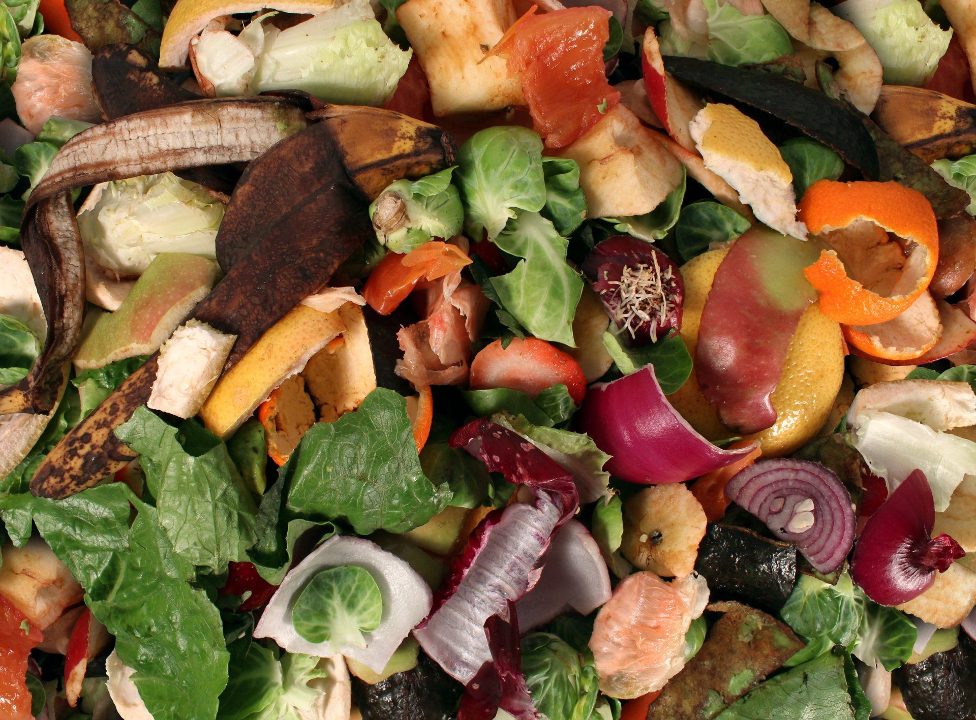 Food Scraps & Organics Recycling