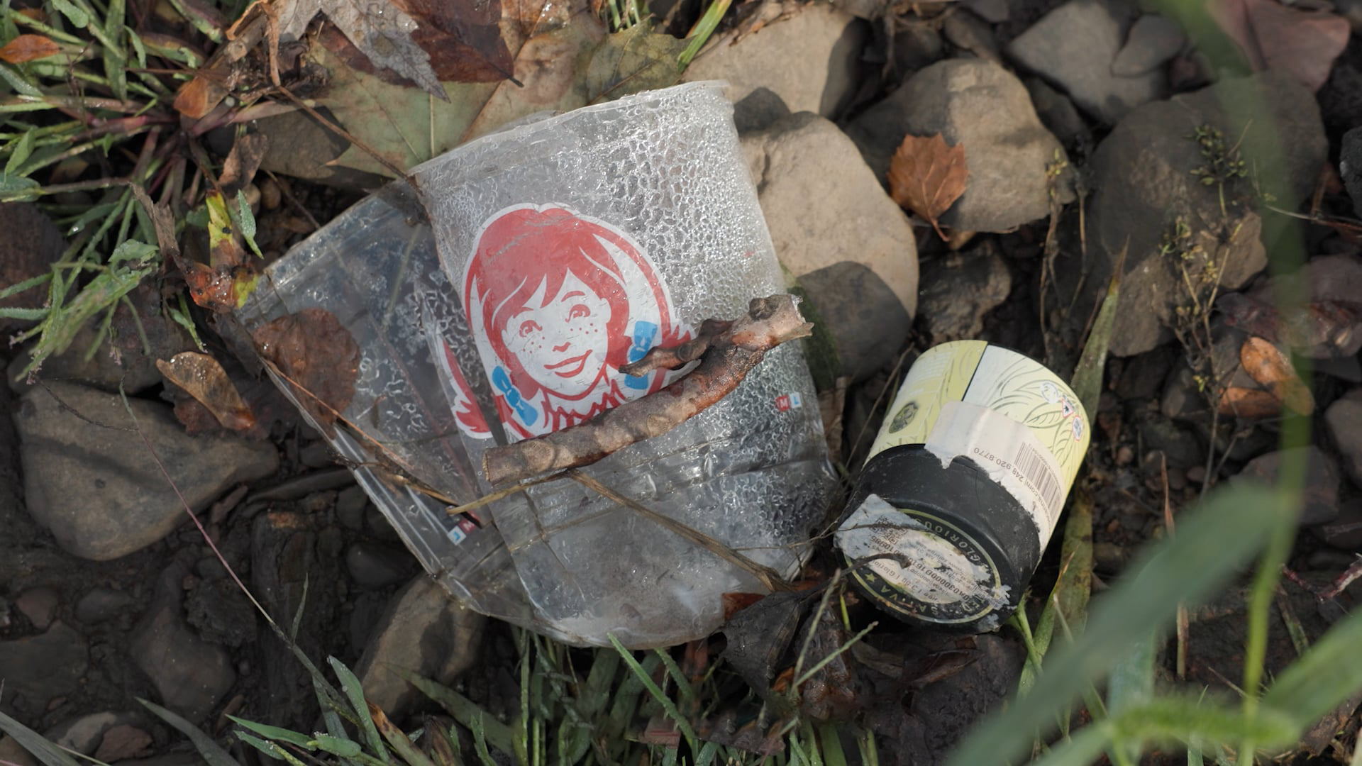 Source To Sea Cleanup