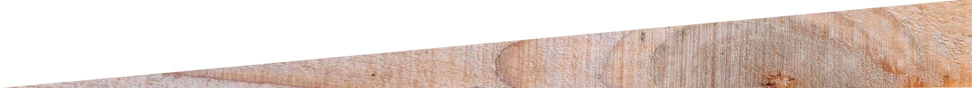 Close-up of a light tan wooden surface with a dark speckled edge