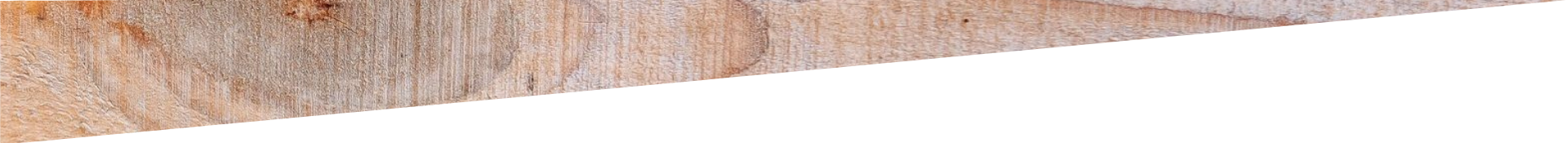 A small white and gray cat resting on a wooden surface