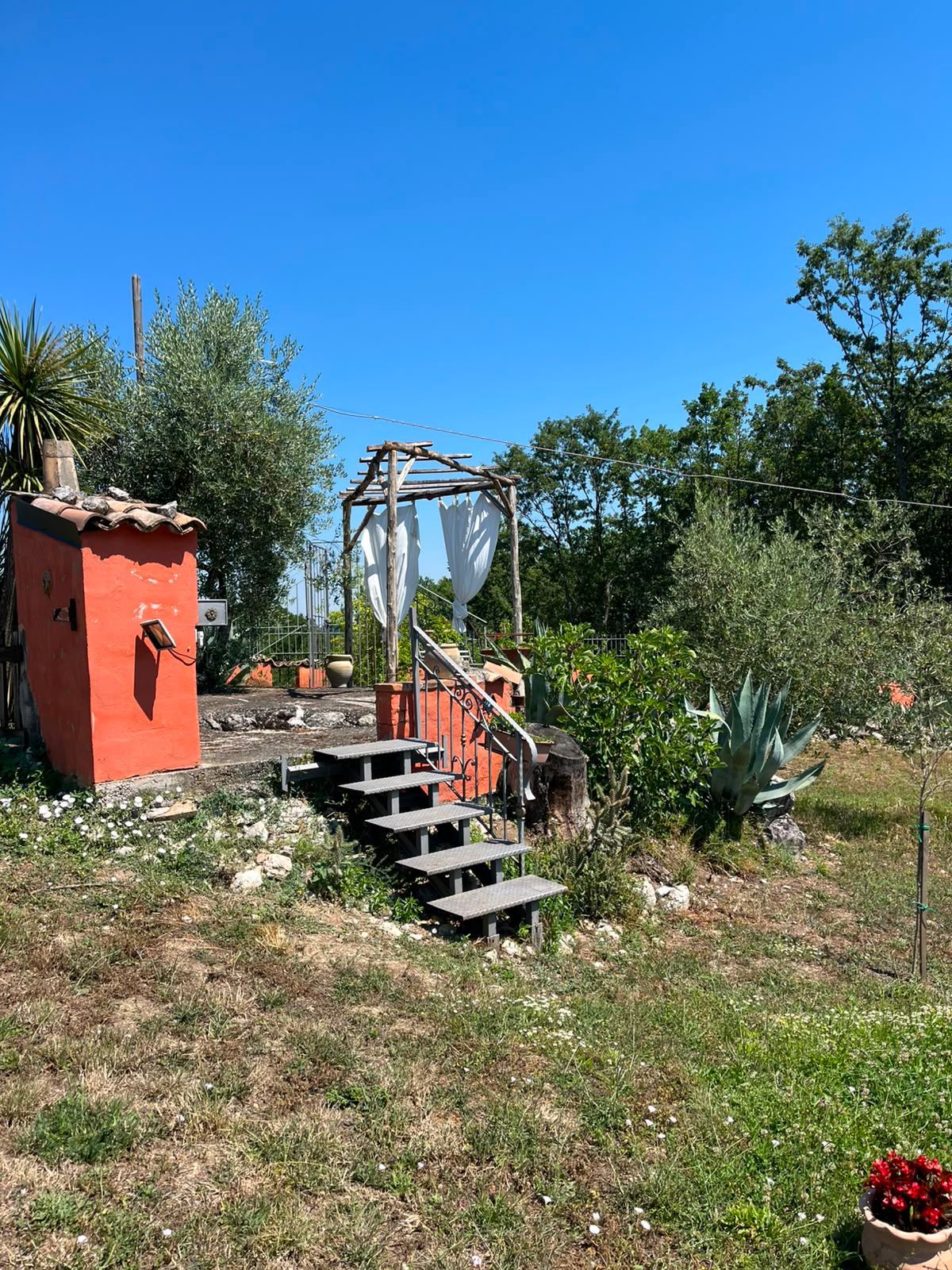 Giardino sul retro con scalini, arco in metallo, casetta da giardino rossa, alberi e fiori in vaso sotto un cielo azzurro.