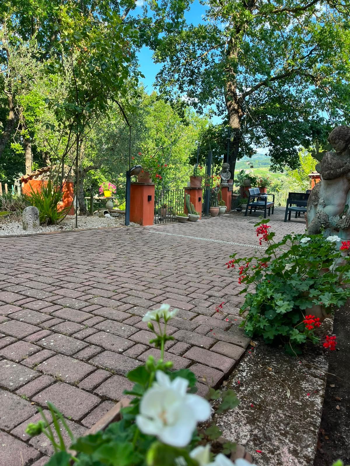 Cortile del giardino con pavimentazione in ciottoli, fiori e alberi frondosi sotto la luce del sole