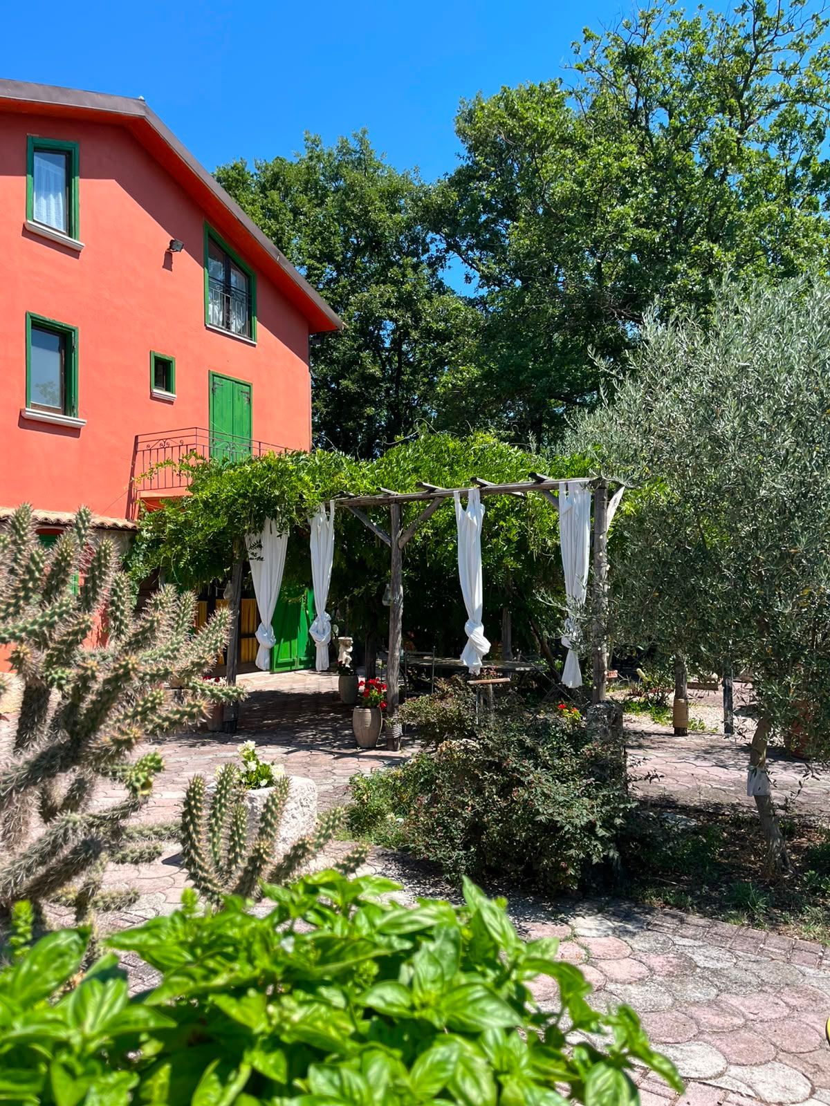 Cortile del giardino con edificio rosso, alberi verdi e un pergolato drappeggiato con tessuto bianco.