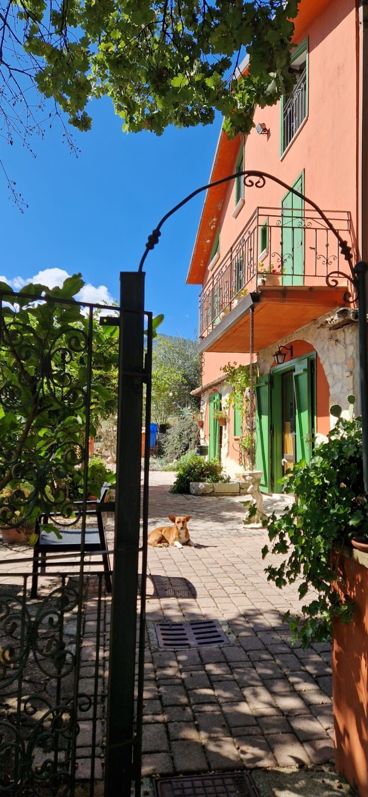 Cortile soleggiato con un edificio color pesca, persiane verdi, cancello in ferro e piante in vaso sotto un cielo azzurro.