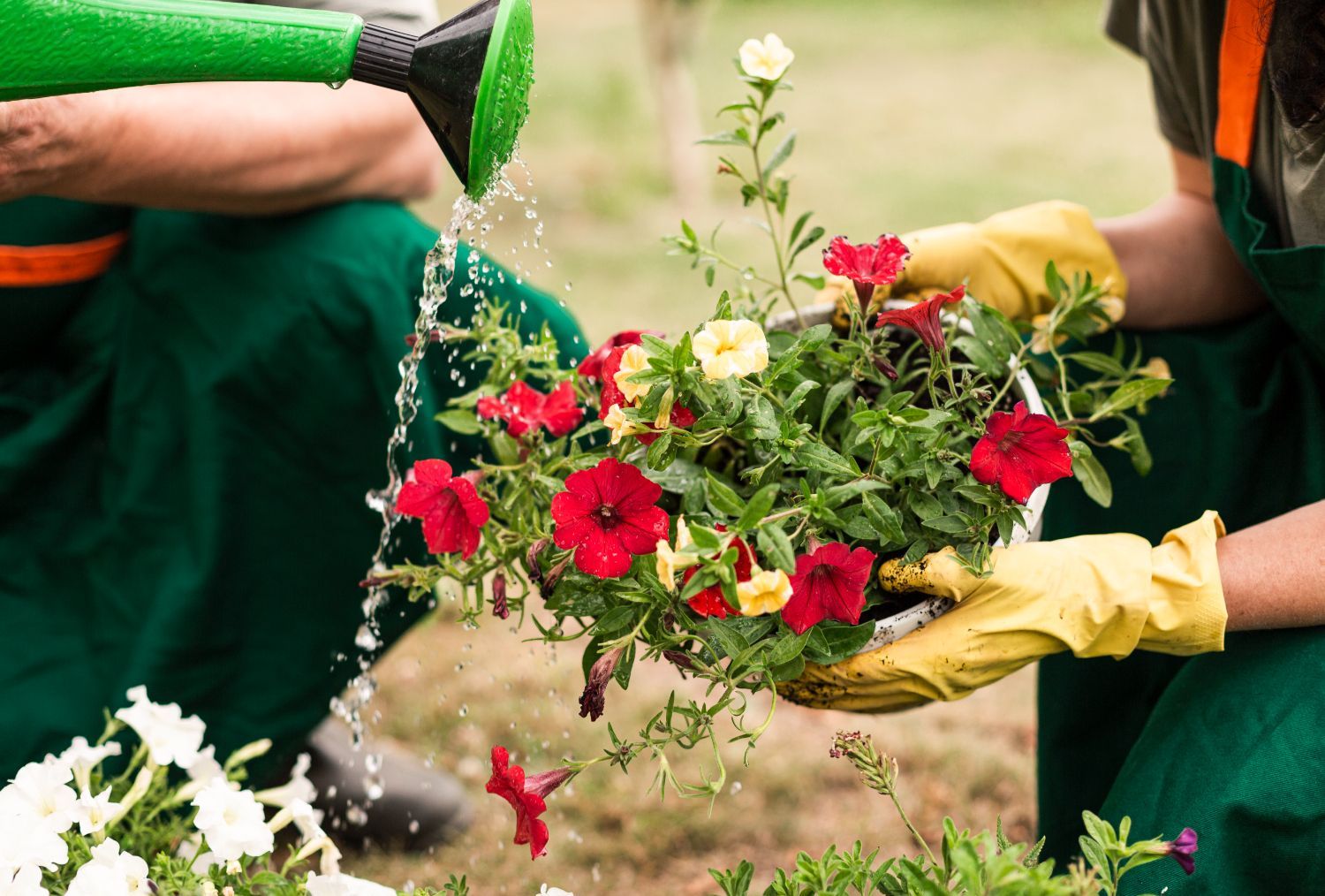 Commercial Flowerbed Maintenance