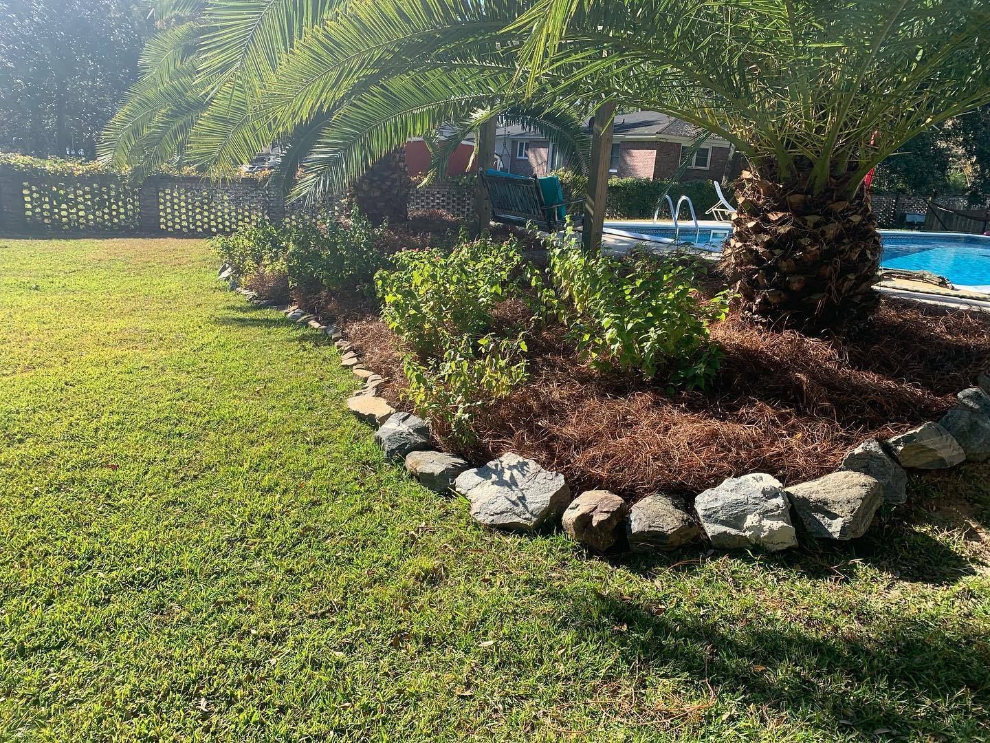 Shrub Removal