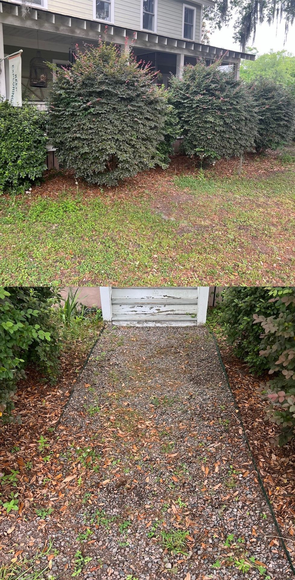 Property Cleanup