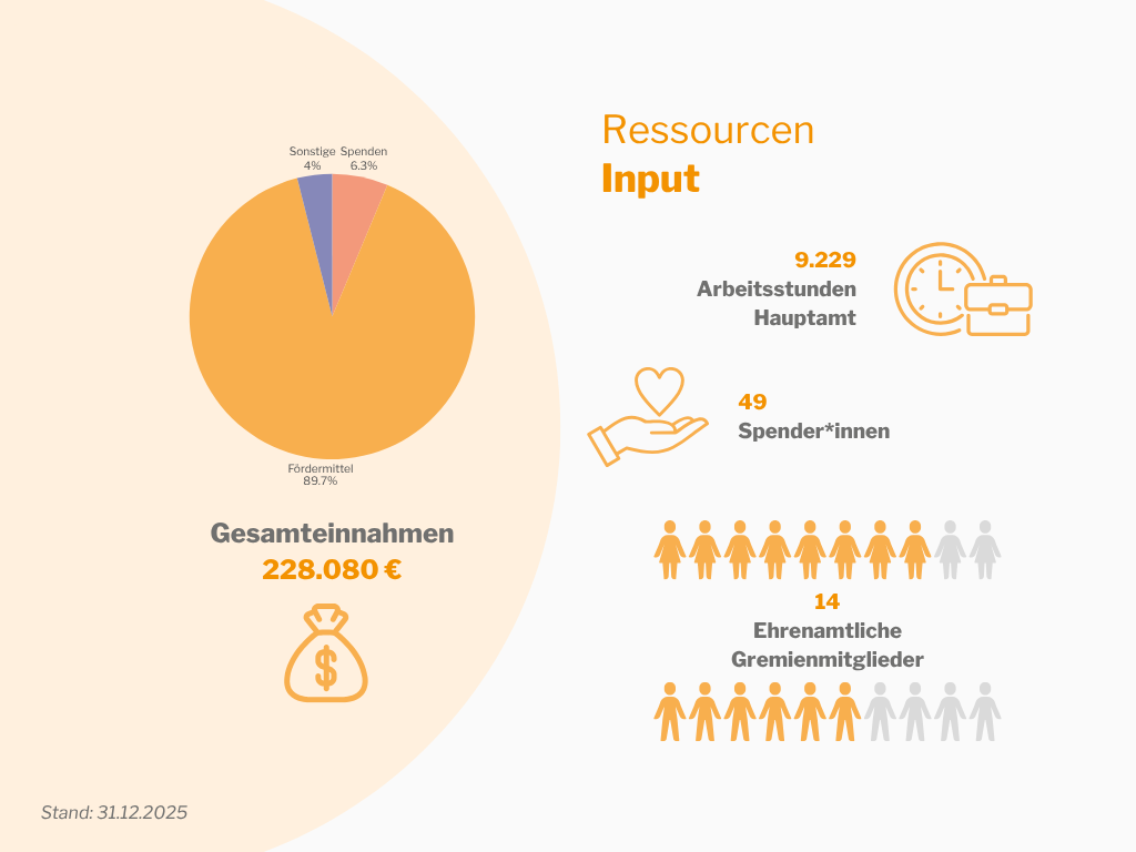 Input (Ressourcen)