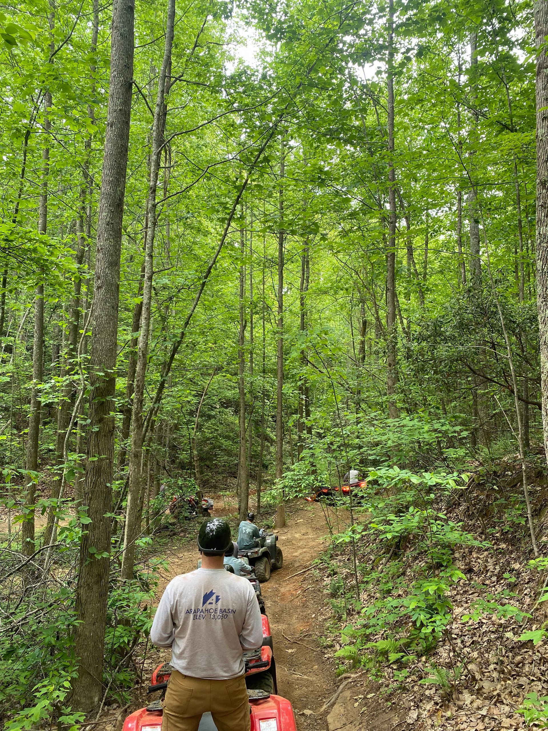 Person riding an ATV through a wooded trail. Other ATVs visible.