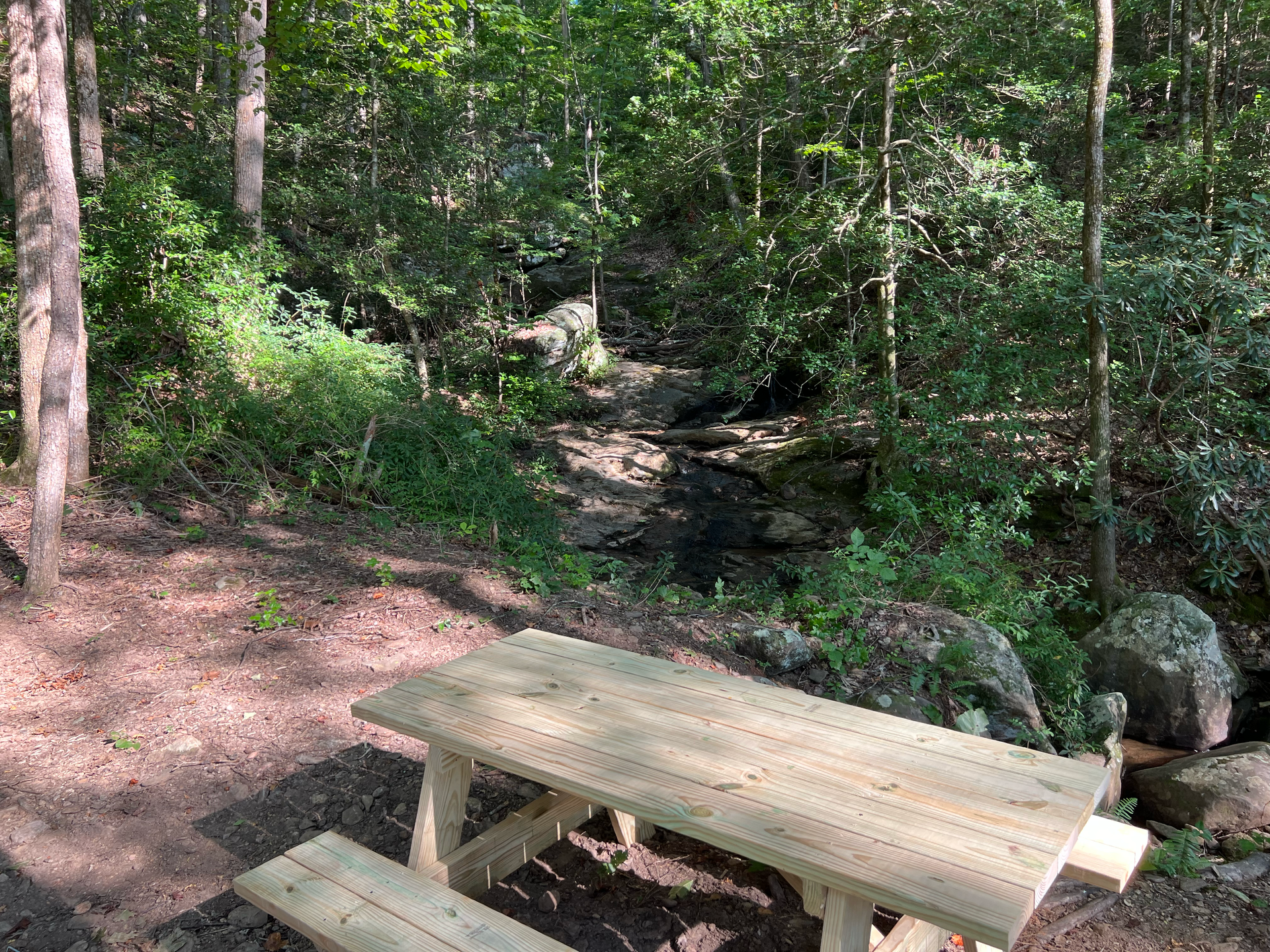 Picnic table in a forest clearing next to a small stream.