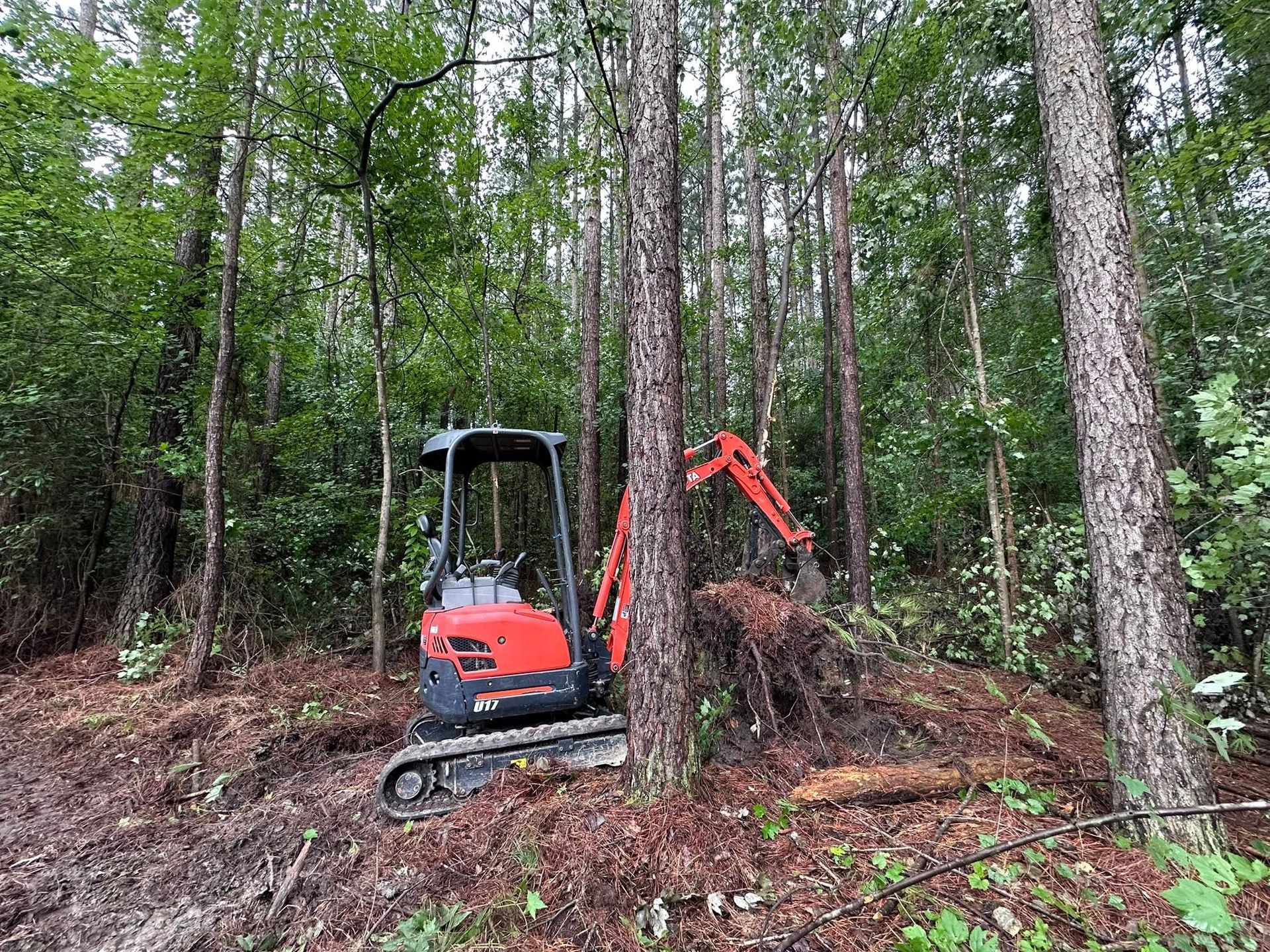Orange excavator clearing brush in a wooded area