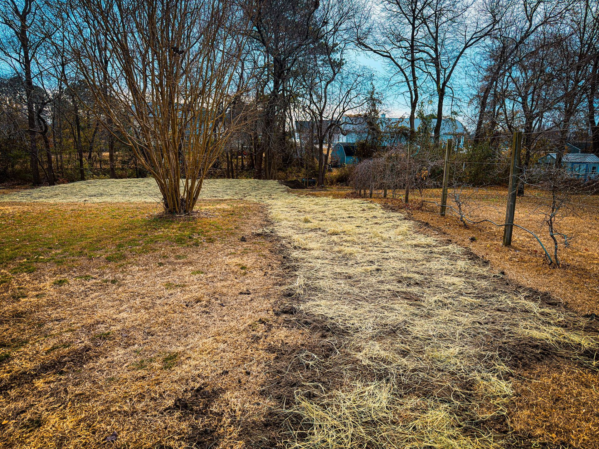 Wooded park path of pale gravel beside dry grass and bare trees on a sunny day
