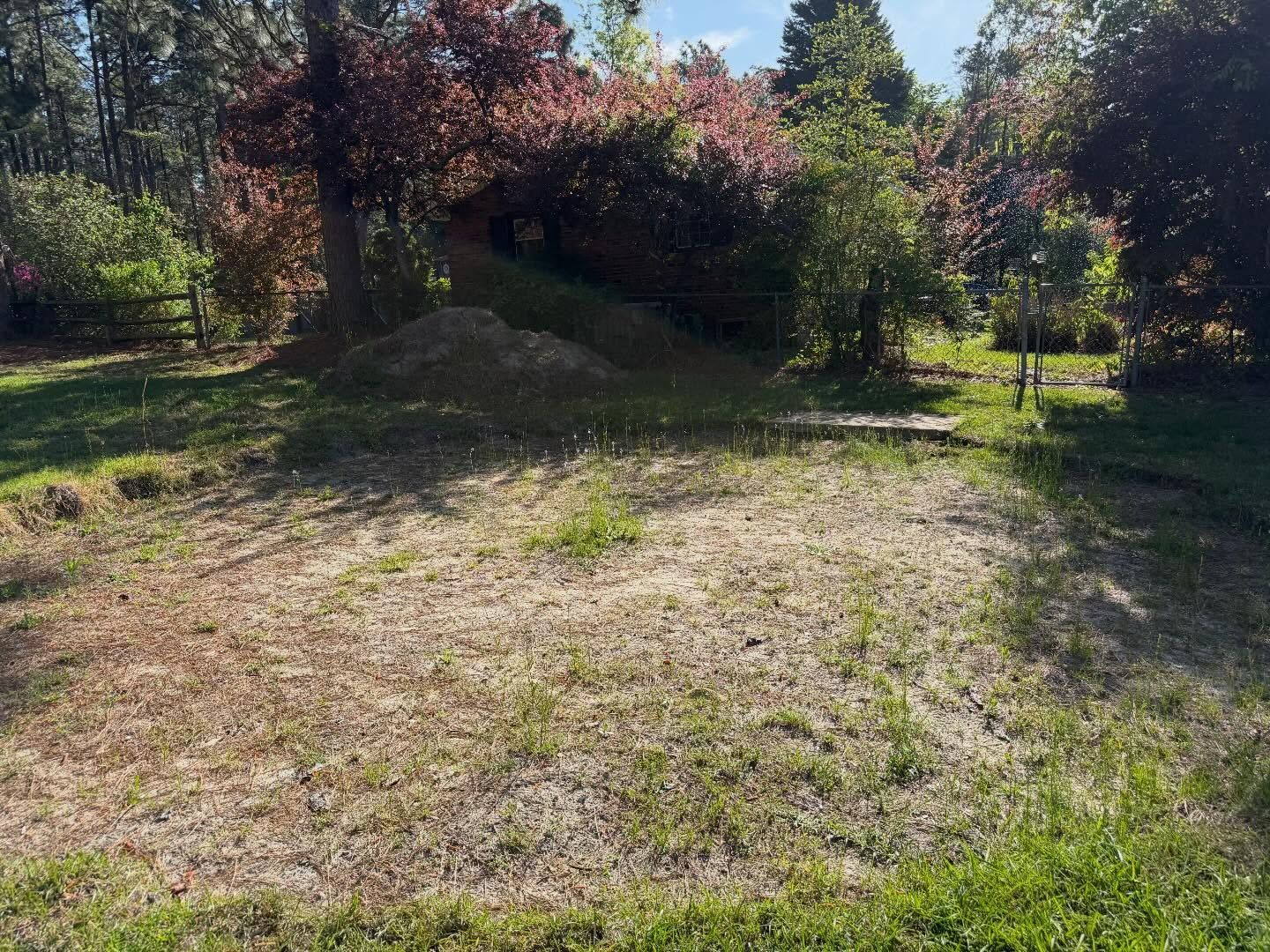 Sunny backyard with a bare grassy patch, trees, and shrubs in the background
