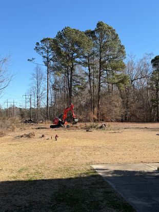 Red excavator working in a grassy clearing beside tall trees under a clear blue sky