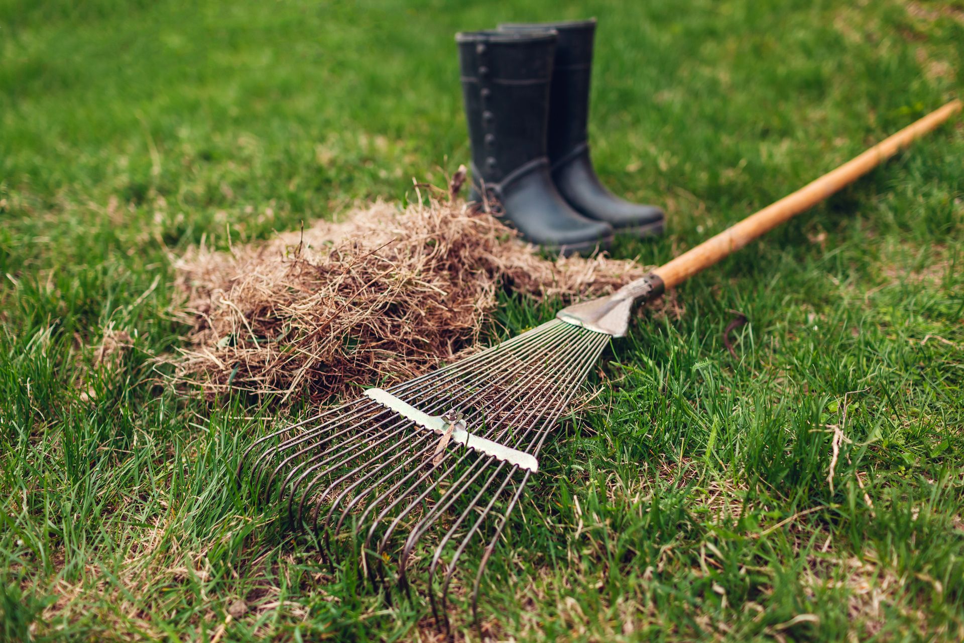 A rake is sitting on top of a pile of grass next to a pair of boots.
