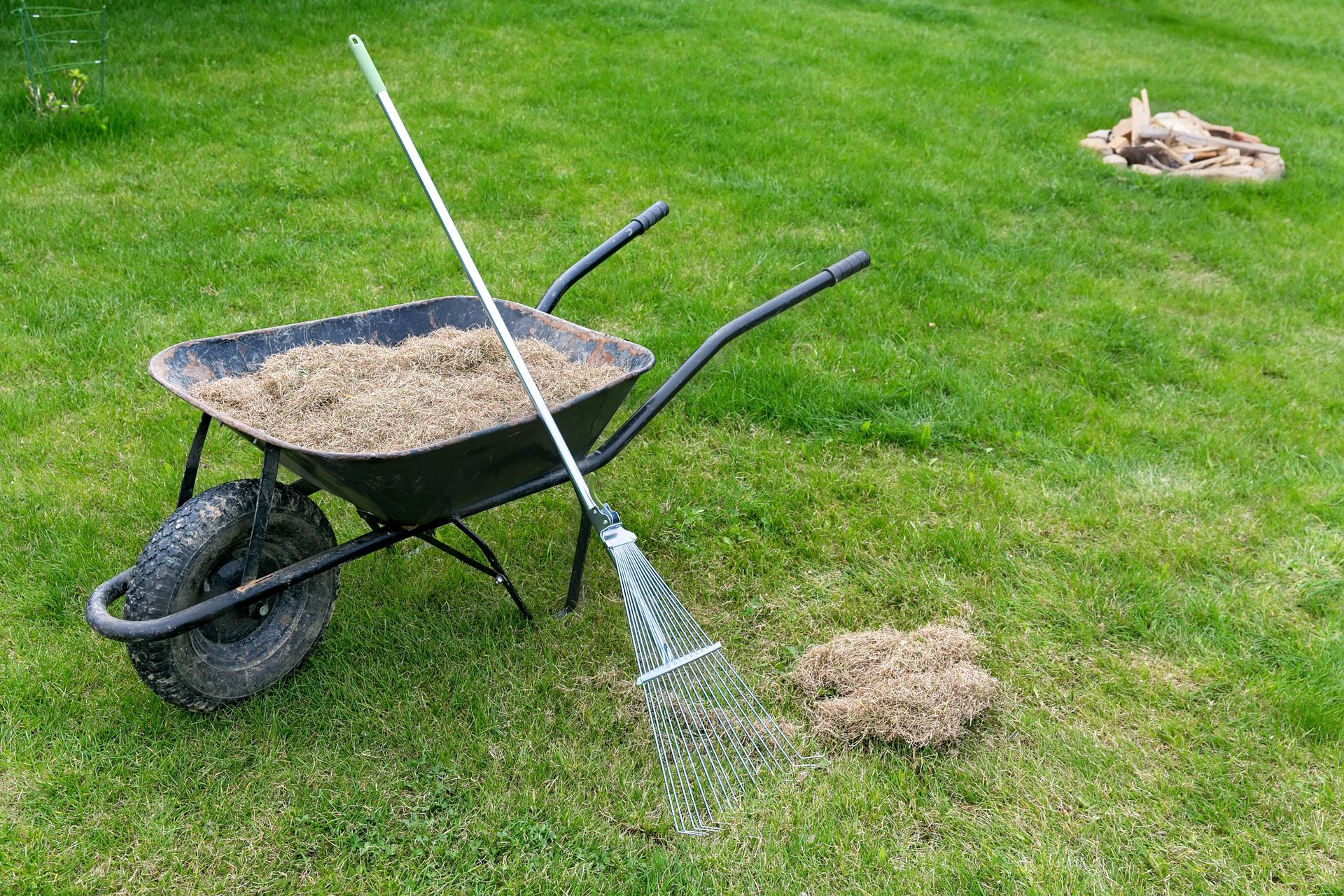 A wheelbarrow filled with dirt and a rake on a lush green lawn.