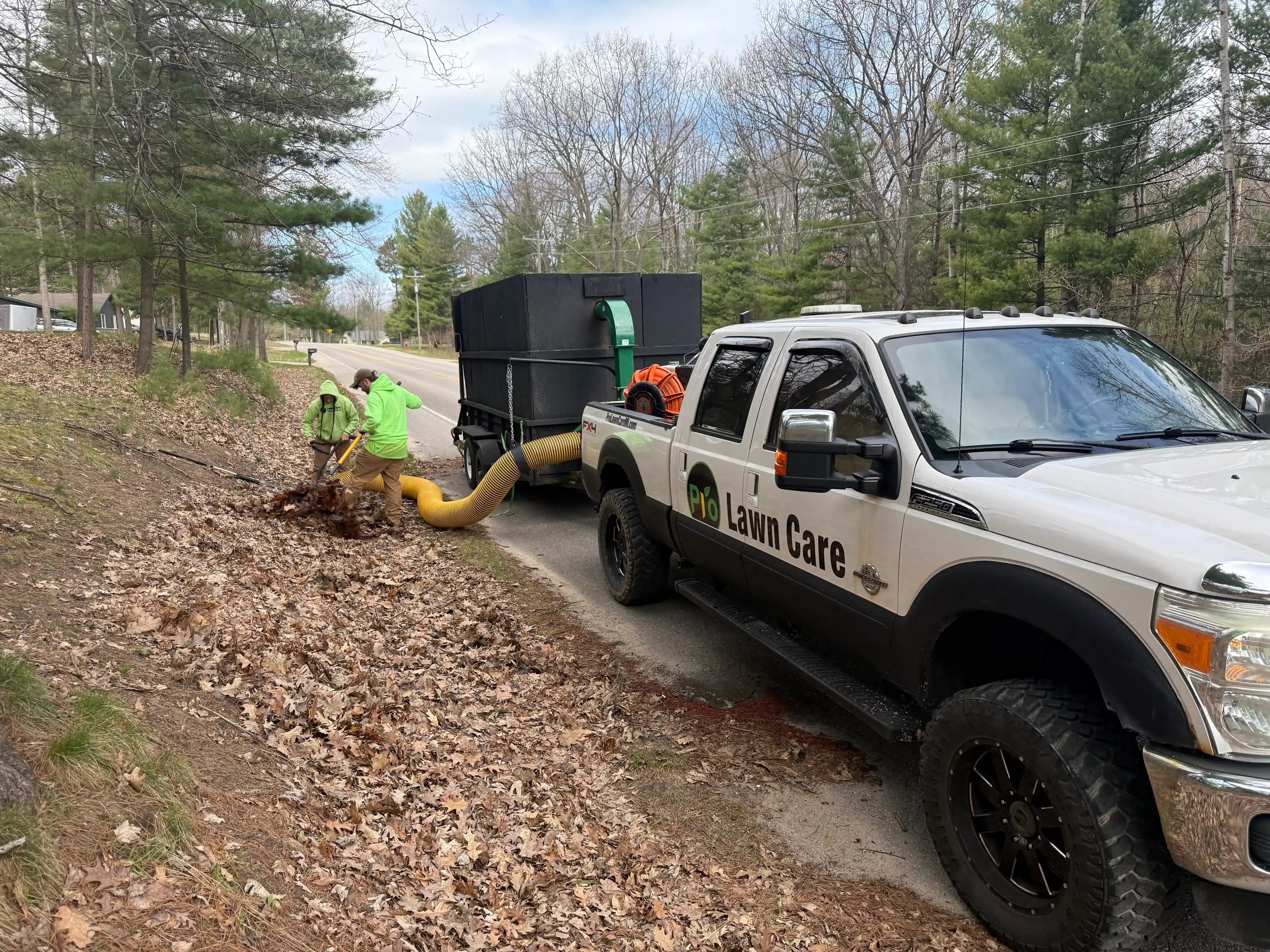 A rake is sitting on top of a pile of leaves.