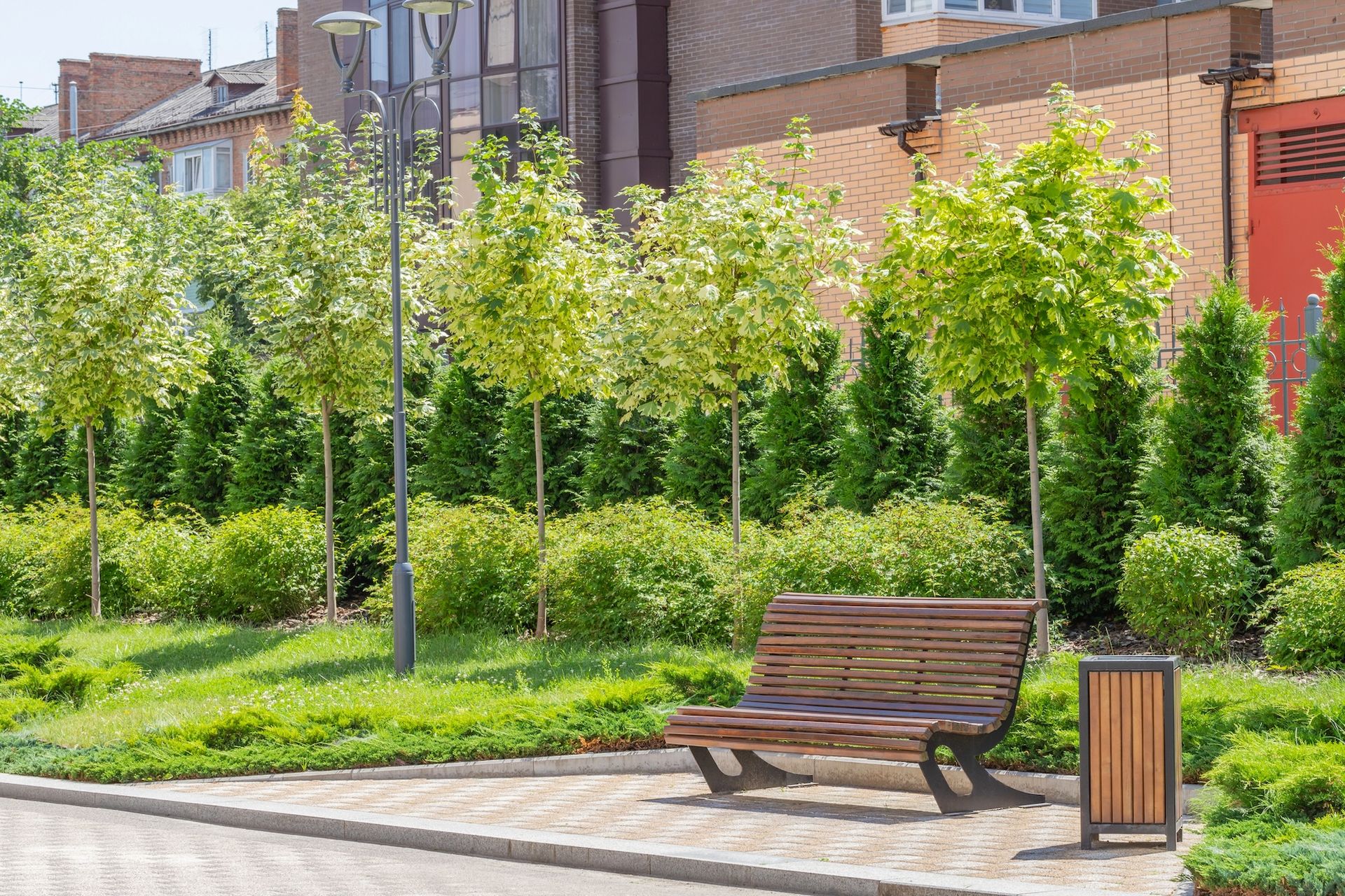 A wooden bench is sitting in the middle of a park surrounded by plants
