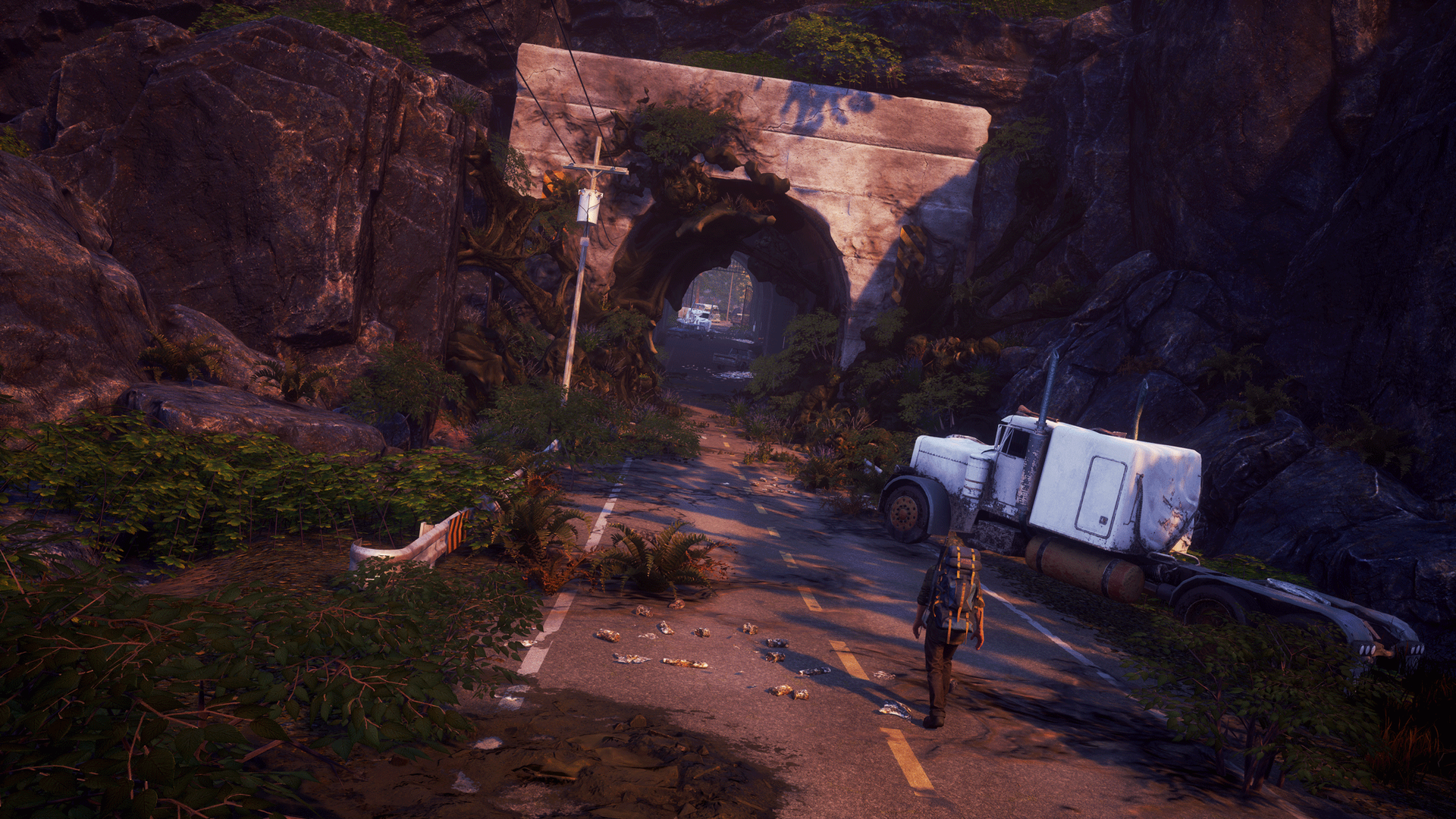 State of Decay 2 screenshot on Trumble Valley map.