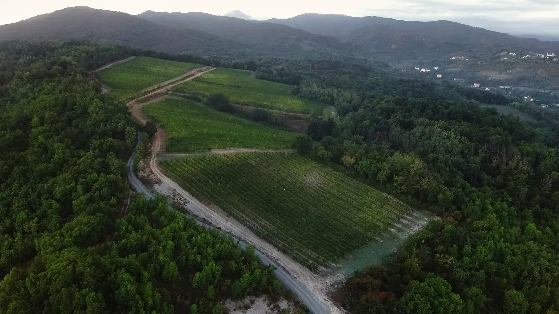Vista dall'alto della tenuta
