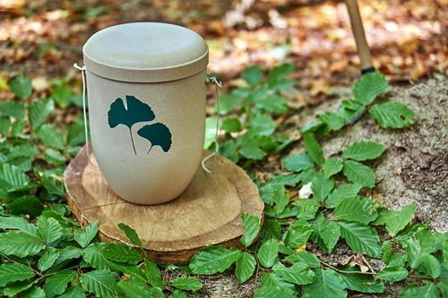 Urnas Biodegradables