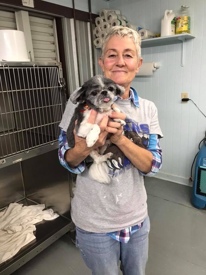 Grooming Facility Owner — Hephzibah, GA — Springwood Pet Boarding & Grooming