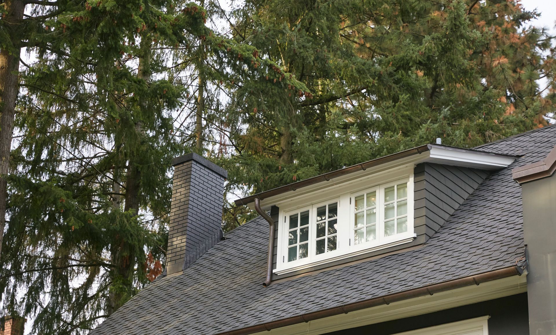 A house with a dark tiled roof, dormer window, and chimney, with a backdrop of green trees.