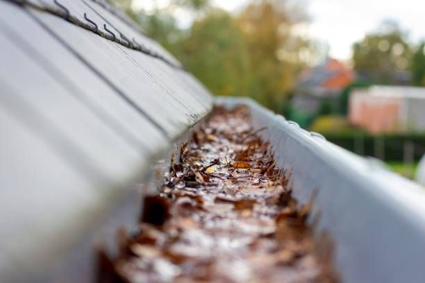 Close-up of a rain gutter filled with wet leaves, with a blurred house and yard in the background