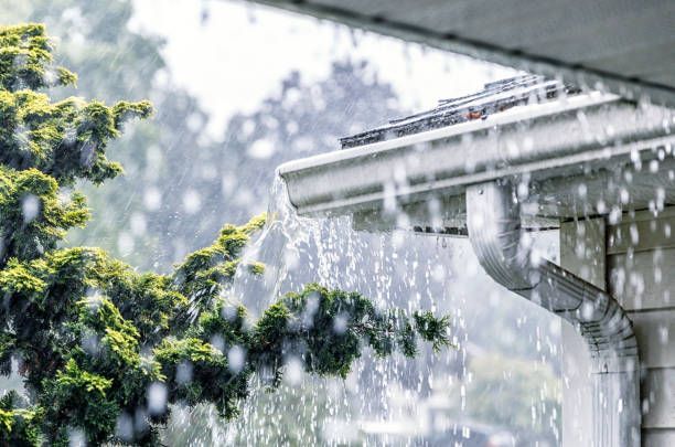 Heavy rain pouring from a roof gutter beside green tree branches