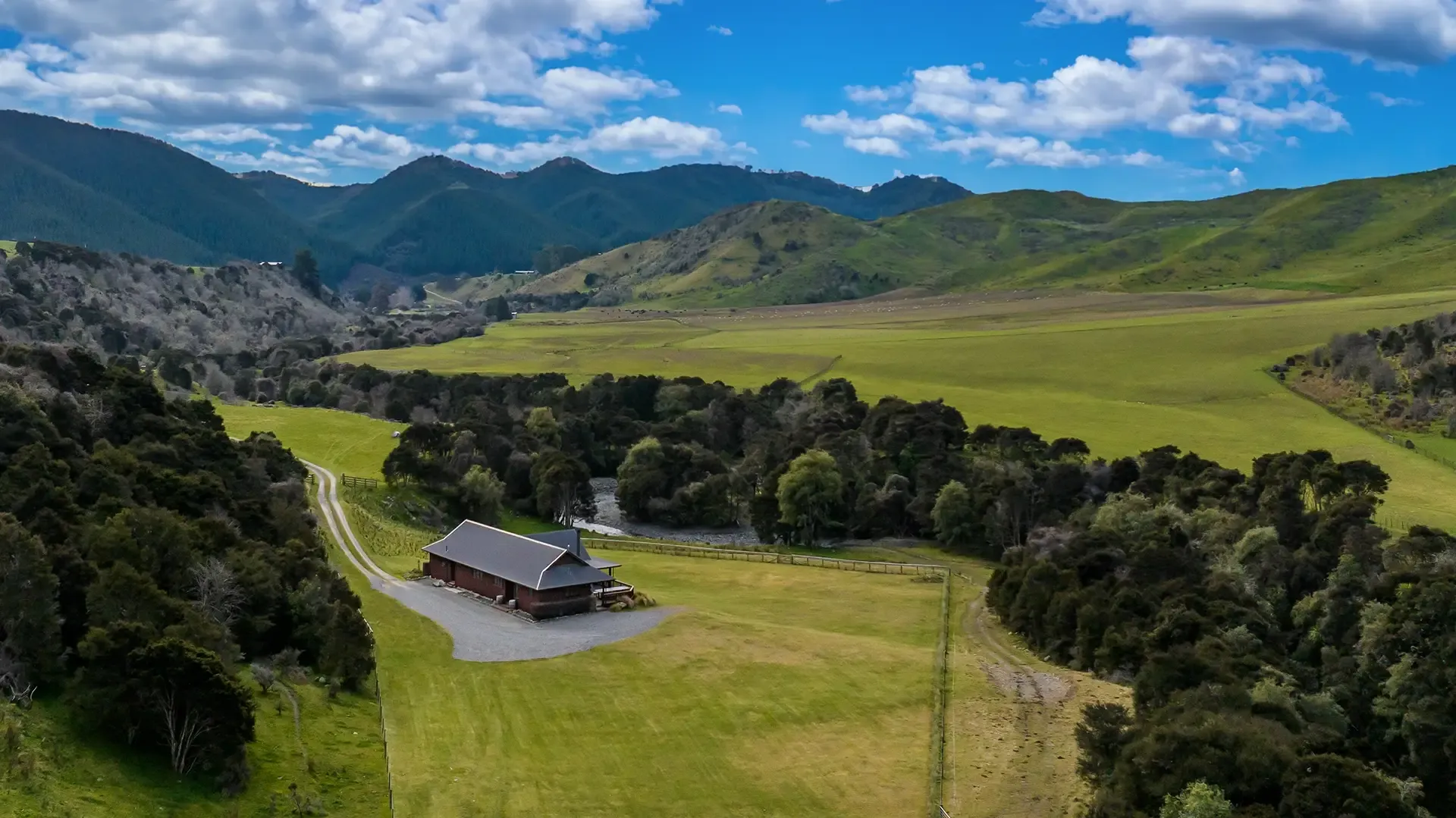 Red stags New Zealand, South Island hunting, Marlborough Accommodation