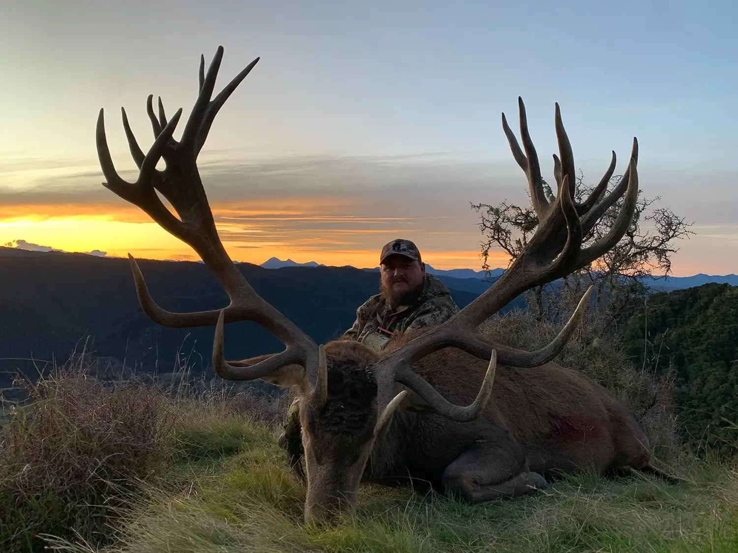 Red Stag Hunting NZ Outfitters I Avon Valley Safaris