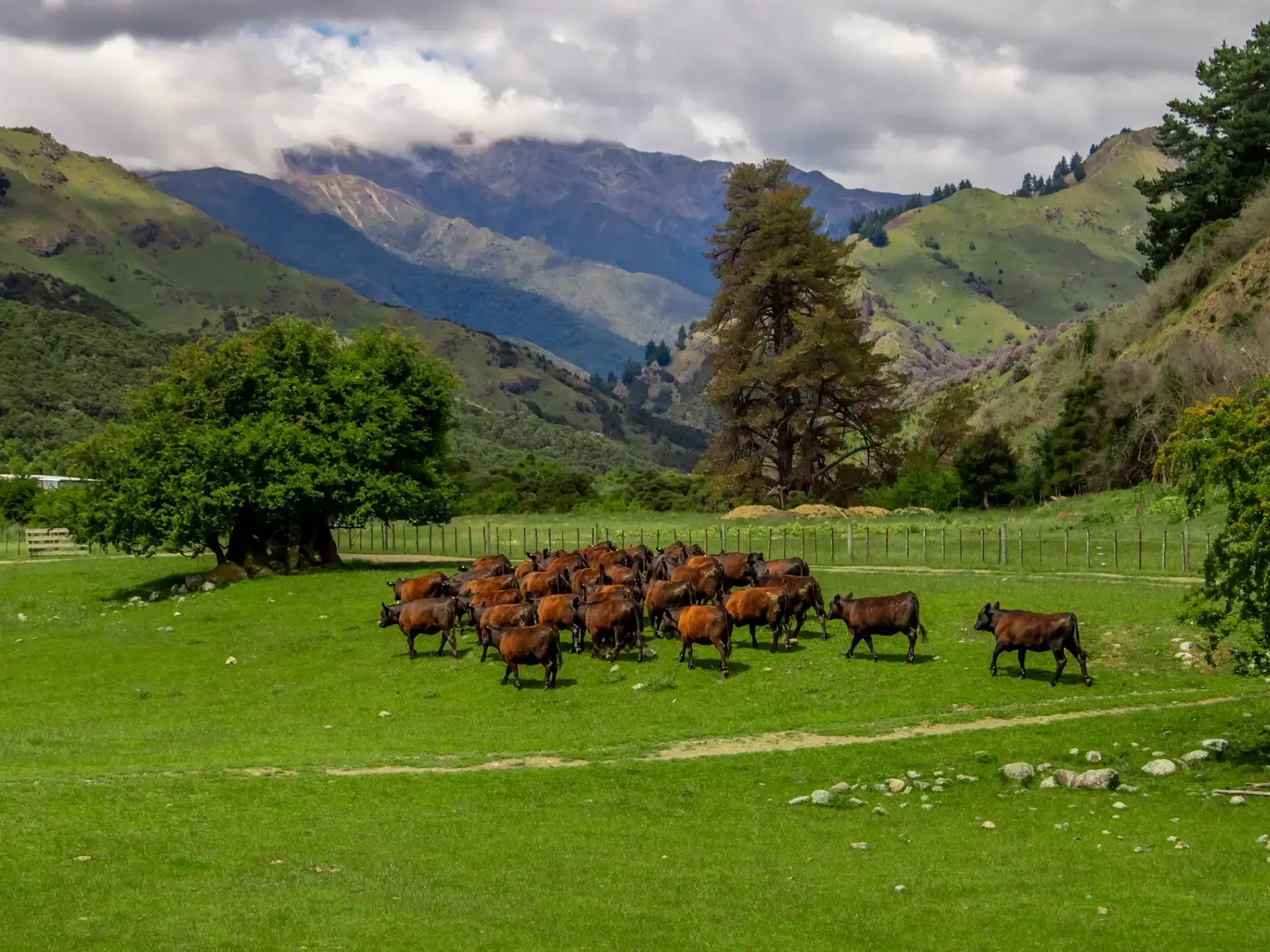 Our Ranch at Avon Valley Safaris New Zealand.